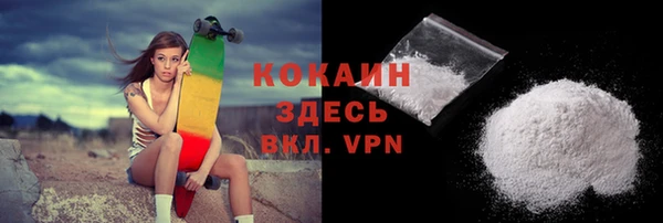 твердый Инта