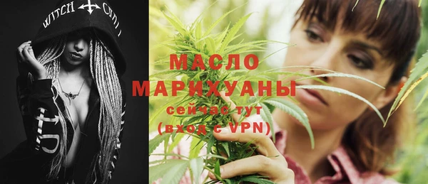 твердый Инта