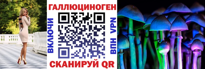 Галлюциногенные грибы MAGIC MUSHROOMS  Купить где  Петропавловск-Камчатский 